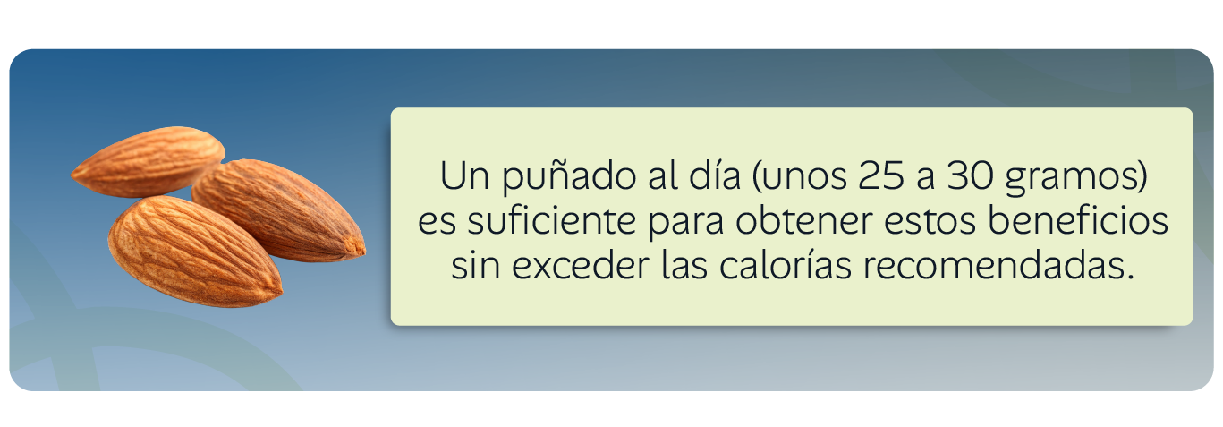 Un puñado de frutos secos al día (unos 25 a 30 gramos) es suficiente para obtener estos beneficios sin exceder las calorías recomendadas.