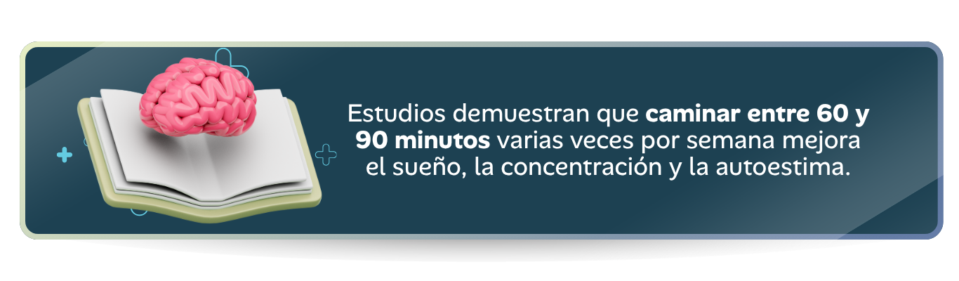 Estudios demuestran que caminar entre 60 y 90 minutos varias veces por semana mejora el sueño, la concentración y la autoestima.