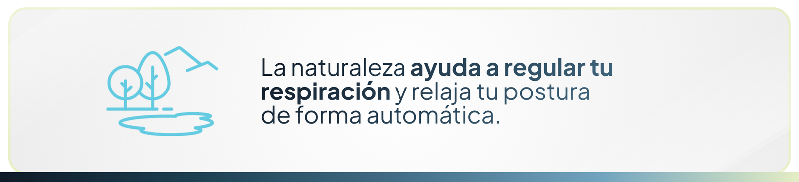 Energía fácil para tu cuerpo: La naturaleza ayuda a regular tu respiración y relaja tu postura de forma automática.