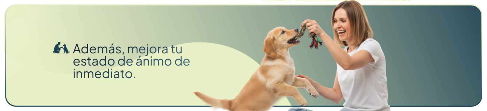 Además, mejora tu estado de ánimo de inmediato. (Se refiere a jugar con tu perrito).