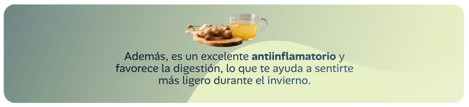 Alimentos que te mantienen caliente: Además, es un excelente antiinflamatorio y favorece la digestión, lo que te ayuda a sentirte más ligero durante el invierno.
