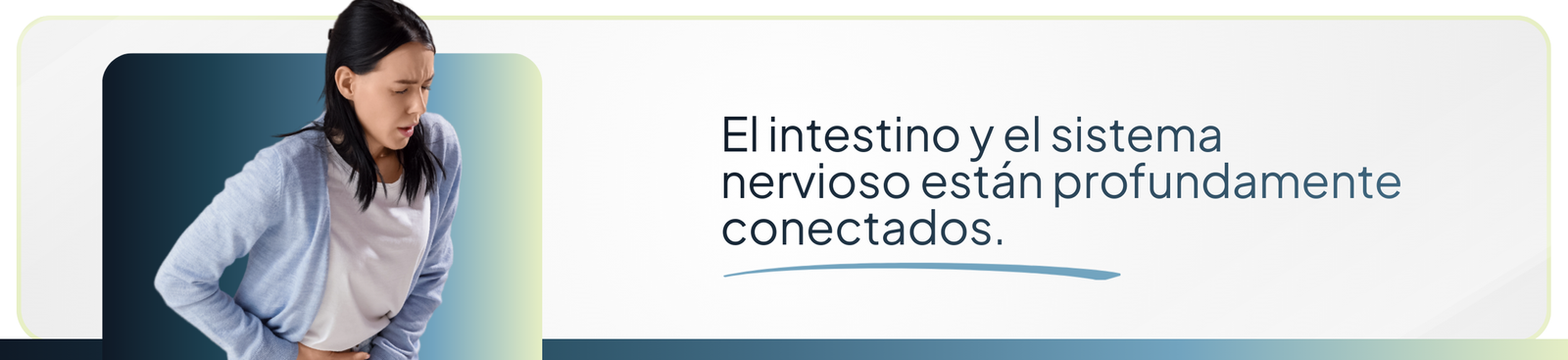 El intestino y el sistema nervioso están profundamente conectados.